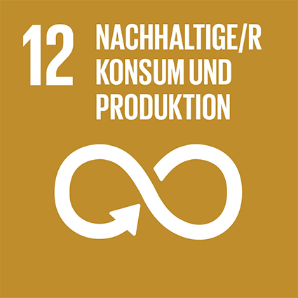 SGD 12 Logo Ziel für Nachhaltige Entwicklung Ring